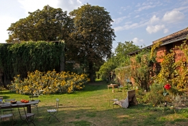 Das Grundstück im Spätsommer