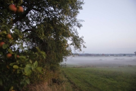 Herbst4_Hollerhof