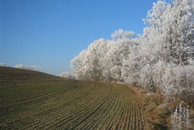Landschaft04