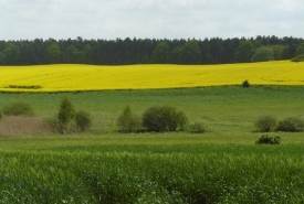 Landschaft10