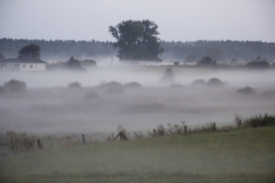 Landschaft31