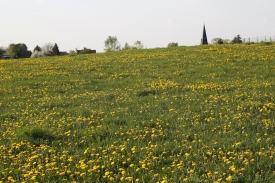 Landschaft33