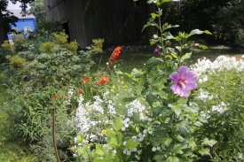 Sommerblumen im Garten des Hollerhofs